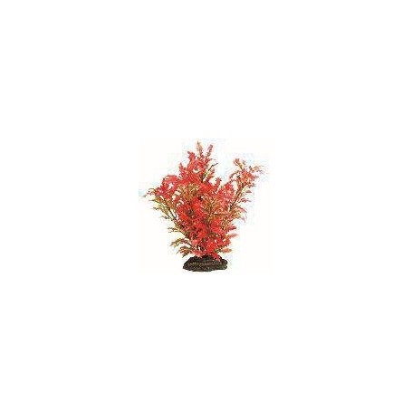 Planta Plástica 10cm Verde/Roja